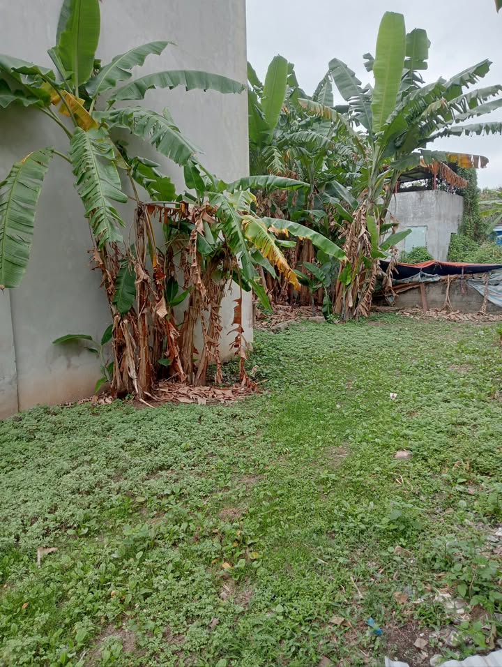 Bán Đất Đường Kênh Nam Định 64m² - Hướng Nam, Giá Tốt