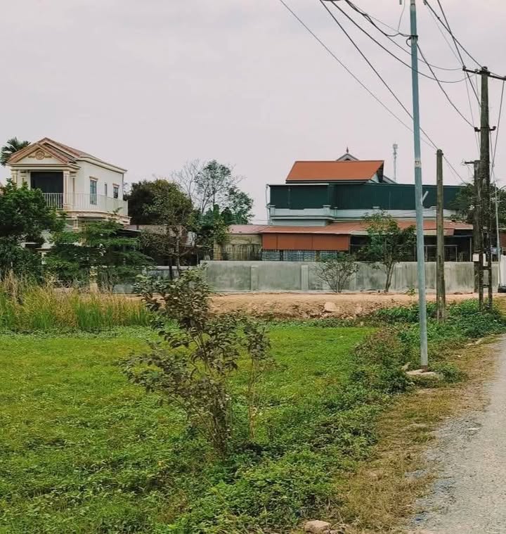 Đất nền Hậu Lộc 231m² chỉ 1 tỷ - Tiềm năng tăng giá vượt trội!