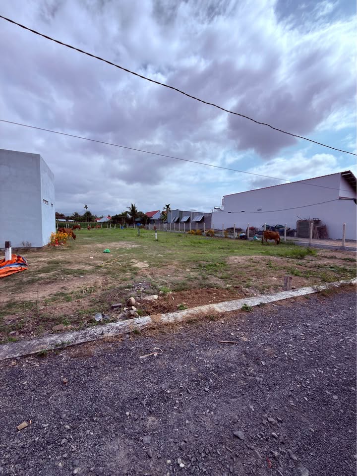 Đất nền Diên Phước, Diên Khánh từ 90m² - Sổ đỏ chính chủ!