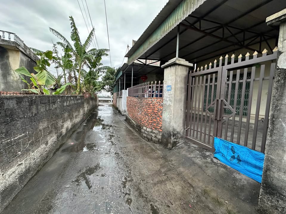 Đất nền Hoàng Quế, Đông Triều 100m² - Tiềm năng tăng giá vượt trội!