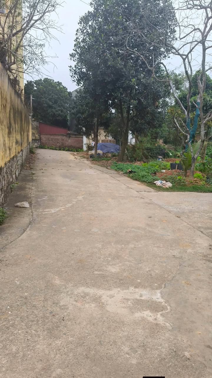 Bán Đất Liền Kề Phường Chùa Hang, Thái Nguyên - 100m², 9xx Triệu