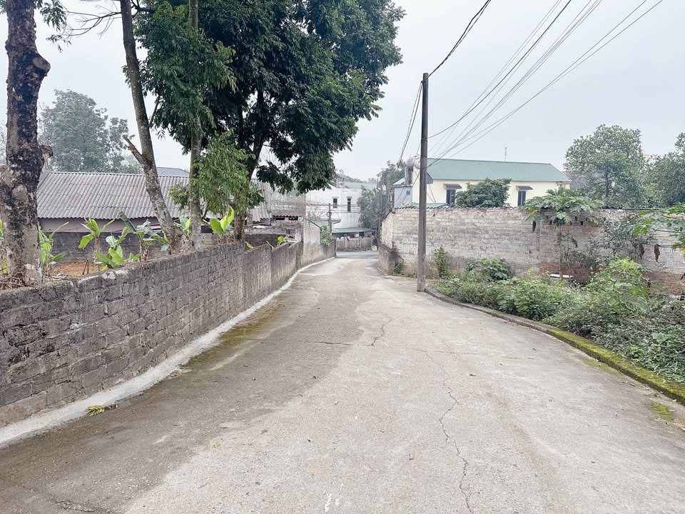 Đất nền Lâm Thao 125m² giá chỉ từ 9xx triệu - Đường to ô tô