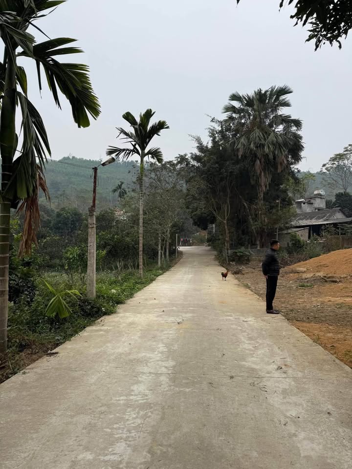 Đất nền Tuyên Quang 100m² giá chỉ từ 3xx triệu - Ô tô vào tận nơi!