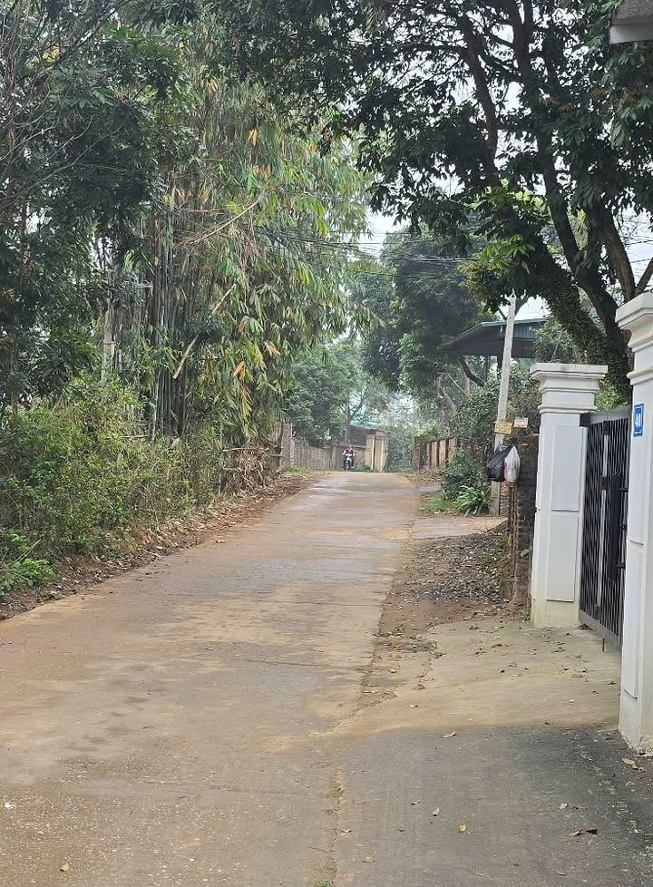 Đất nền An Tường, Tuyên Quang 410m² - Sổ hồng riêng, ô tô vào nhà