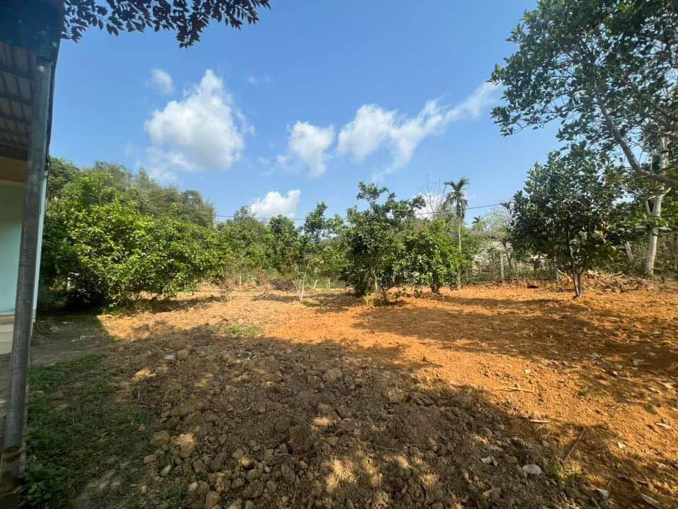 Đất vườn Kim Phú Tuyên Quang 2.672m² 4 tỷ - Xây dựng tự do