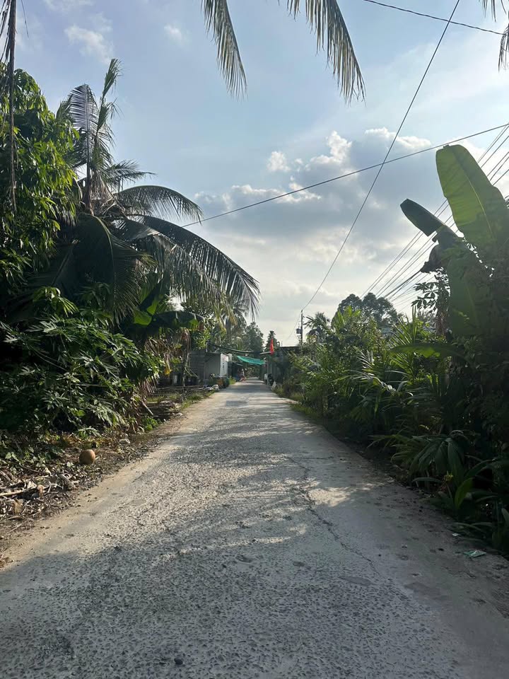 Đất Hậu Giang 12.600m² - Sổ Đỏ, Đường Ô Tô, Gần UBND Xã