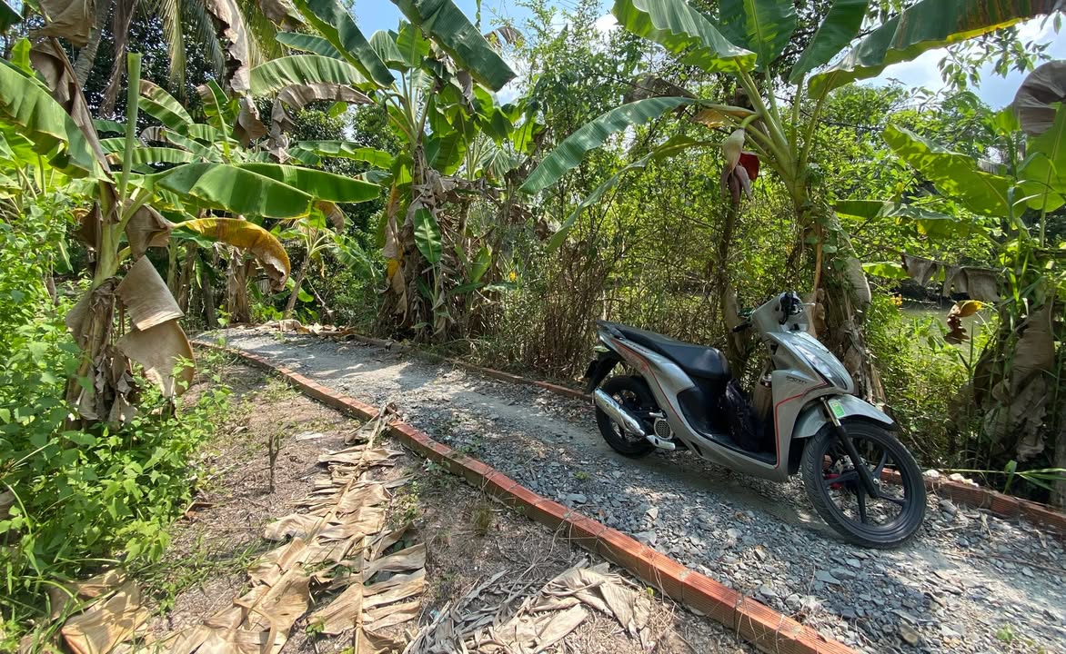 Đất nền Phước Thới Ô Môn 602m² - Sổ hồng sẵn, giá tốt!