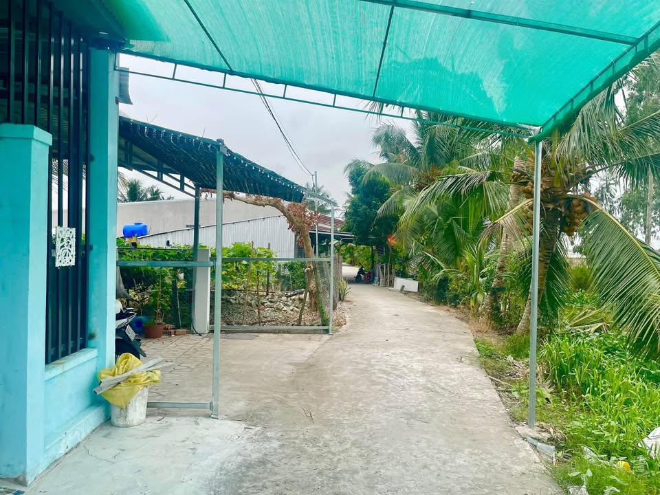 Đất Nền Đông Hiệp Cờ Đỏ 99m² - Giá 260 Triệu Bao Giấy Tờ