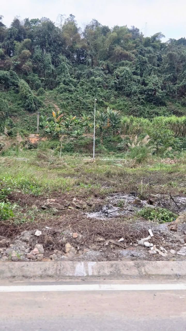 Đất nền Thành phố Lào Cai 145m² - Sổ đỏ chính chủ, vuông vắn!