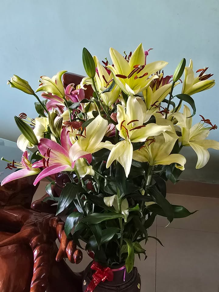 Đất nền hẻm ô tô Lê Lợi 104m² - Sổ đỏ sẵn sàng giao dịch