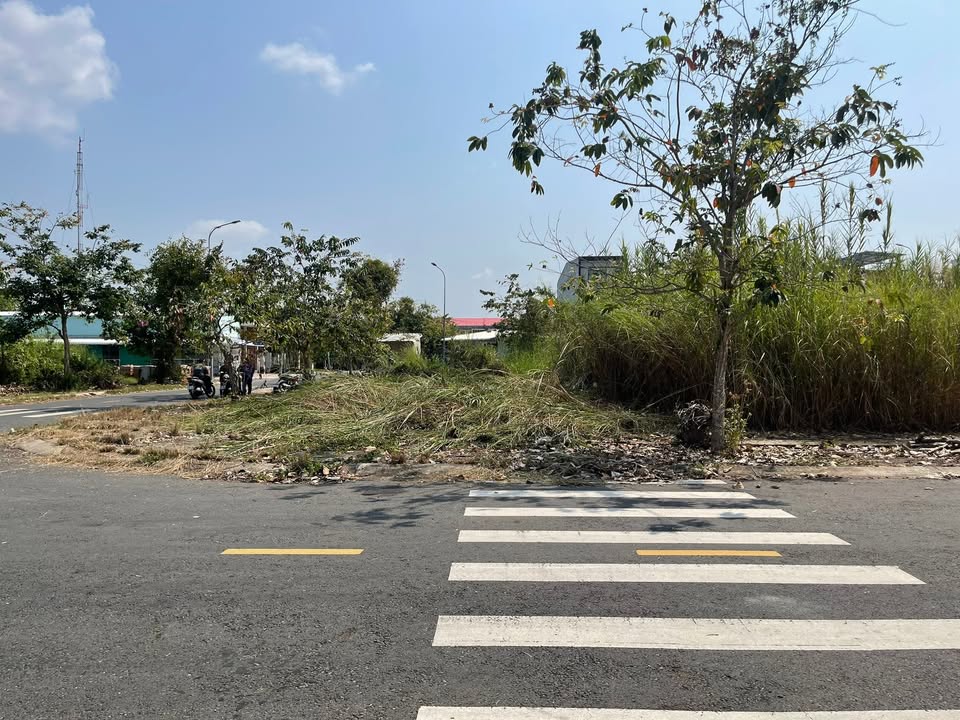 Bán Đất Cao Lãnh 120.6m² - Lô Góc 2MT Hướng Đông Nam