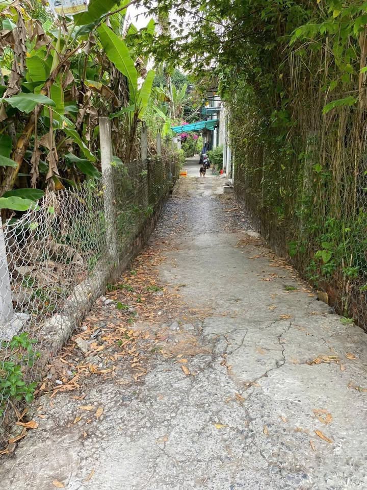 Nhà Riêng Đường Nguyễn Văn Linh Cần Thơ 72m² - Sẵn sàng ở ngay!