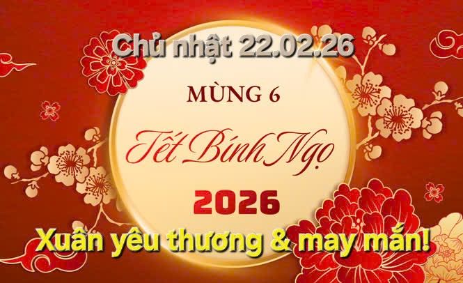 Đất vườn 3600m² An Lộc, Hồng Ngự - Sinh thái xanh, chính chủ!