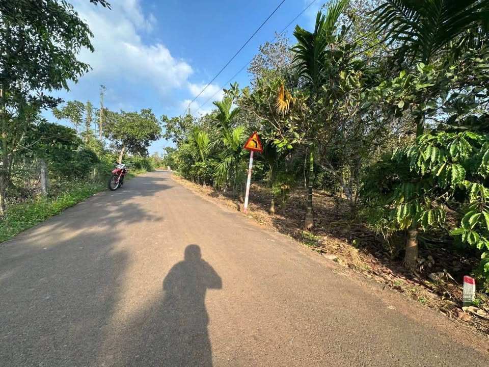 Đất nền Láng Lớn Châu Đức 1000m² - Pháp lý rõ ràng, sổ hồng trao tay!