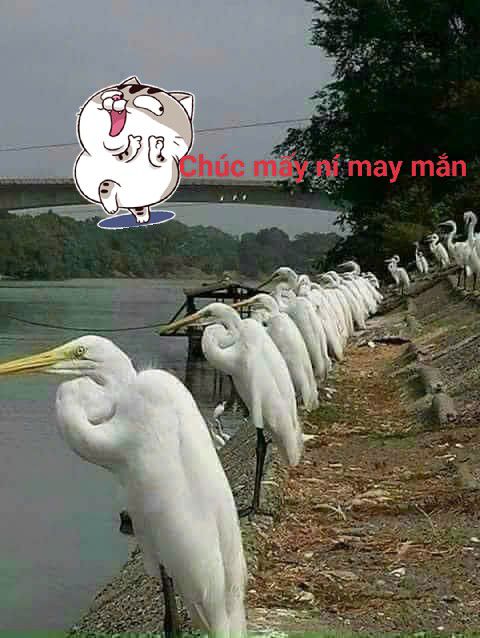 Đất nền Phú Mỹ Quận 7 100m² - Sổ đỏ chính chủ, tiềm năng đầu tư!