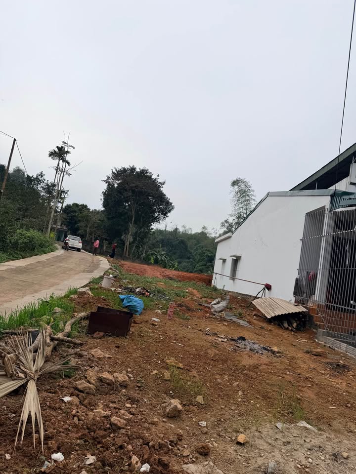 Đất nền Kim Phú, Tuyên Quang 95m² - Sổ đỏ chính chủ, xây dựng tự do!