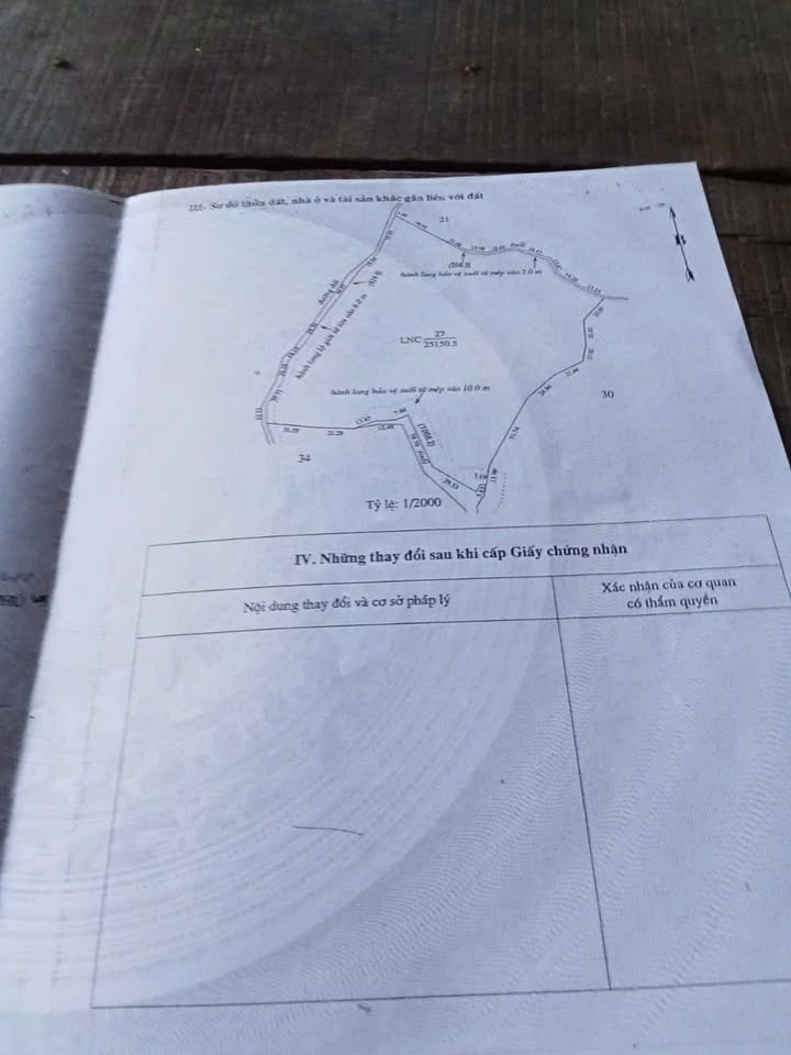 Đất Vườn 2.5ha Đồng Tâm, Đồng Phú – 1.2 tỷ, Đầu tư dài hạn!