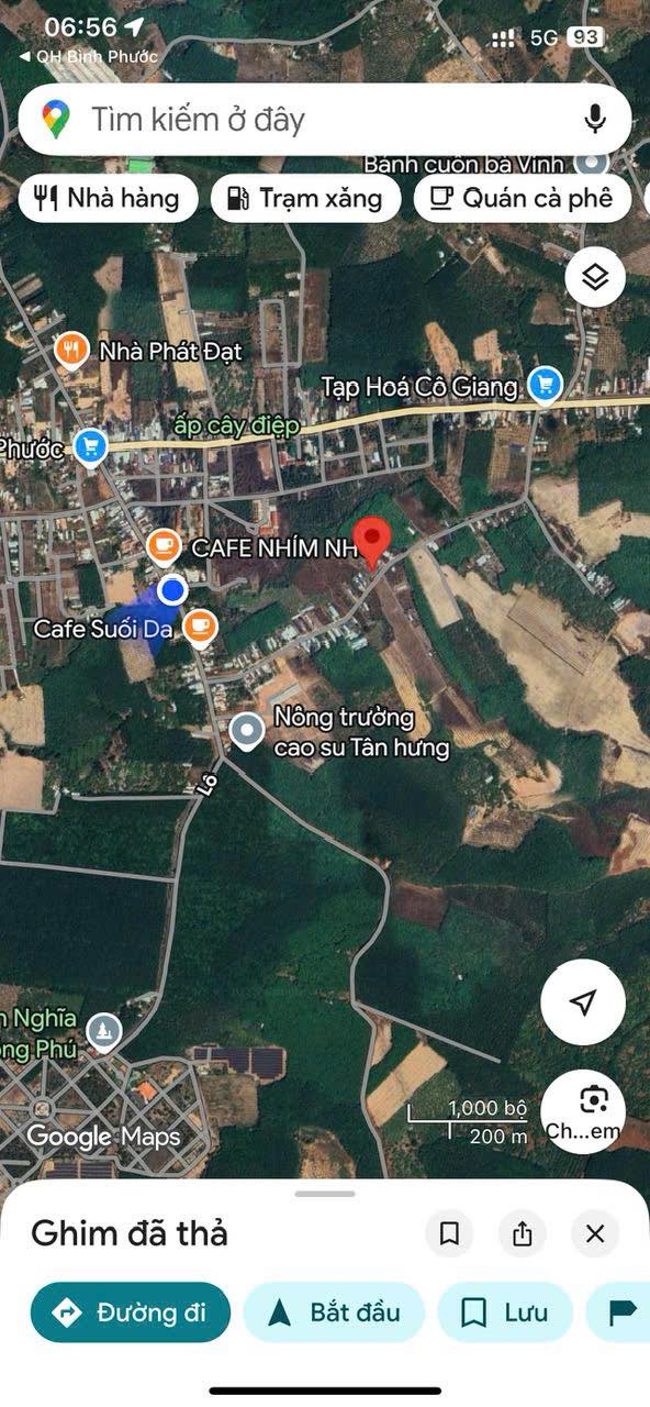 Đất nền Tân Phước, Đồng Phú 2500m² - Đất thổ cư 100%!