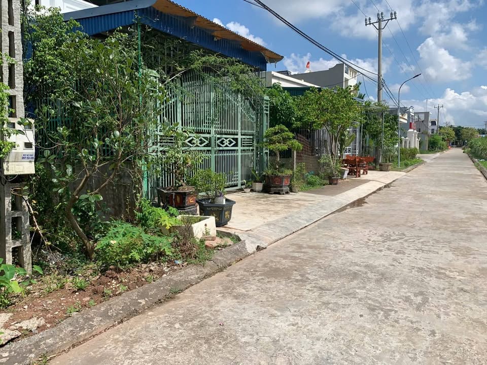 Bán Đất Trung Tâm Xã Trực Thắng, Nam Định - 95m² Hướng Tây Bắc