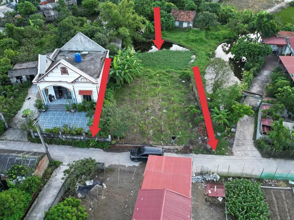 Đất nền Phù Cừ Hưng Yên 600m² - Sổ đỏ chính chủ, giá cực tốt!