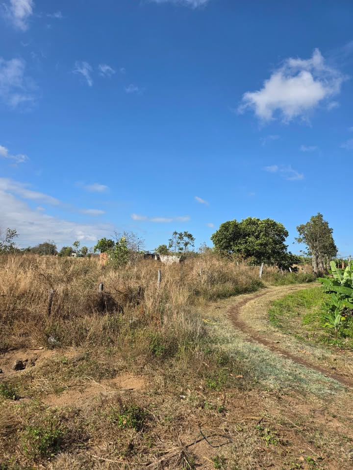 Bán Đất Vườn 3.2ha Gia Lai - Sổ Hồng 9 Sào - Giá 1.2 Tỷ