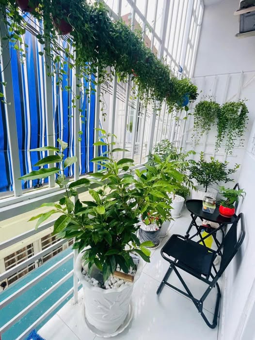 Cho thuê nhà nguyên căn Hóc Môn 25m² - Giá 3.5 triệu/tháng