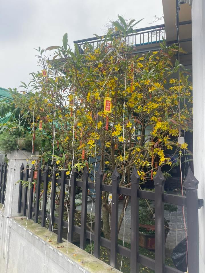 Đất nền 146m² Tân Lộc, Thạch Hà - Sổ hồng sẵn, giá 1.1 tỷ