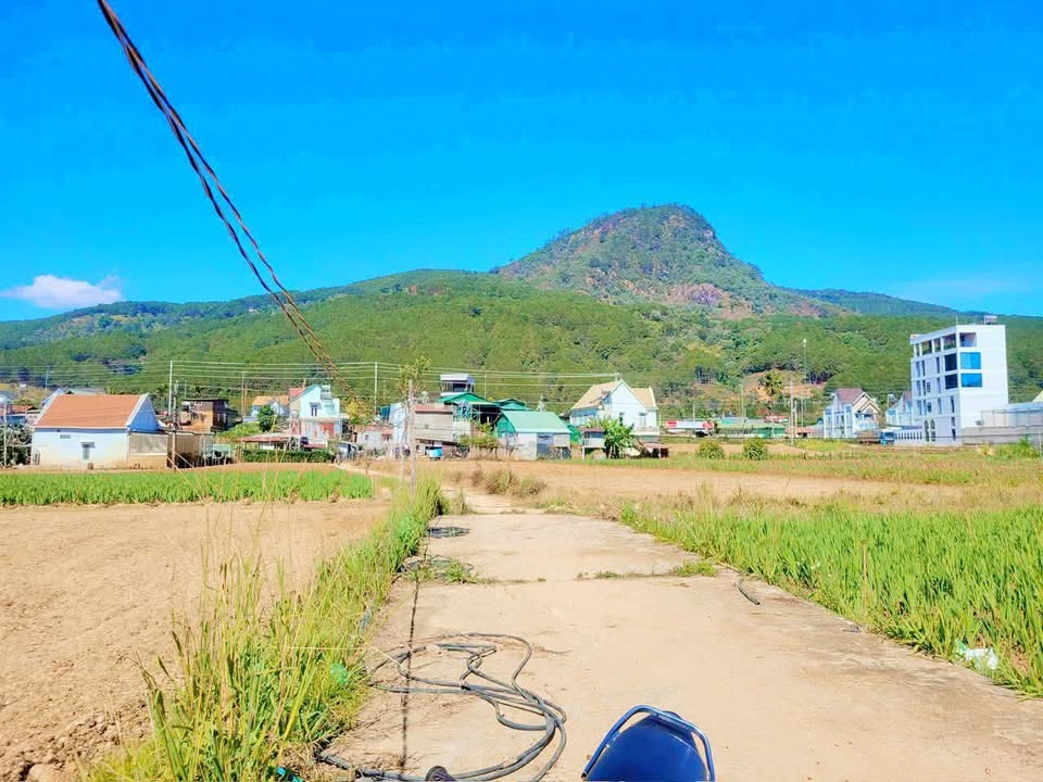 Bán Đất Hiệp An, Đức Trọng - 106m² Nở Hậu 8m, Đối Diện Núi Voi