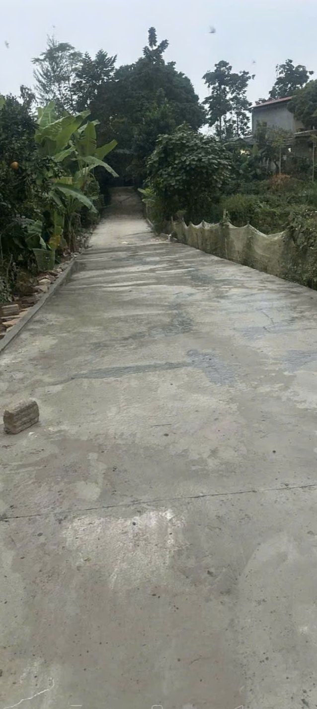 Đất nền Lý Nhân, Tuyên Quang 208m² - Sẵn sàng xây nhà vườn/biệt thự