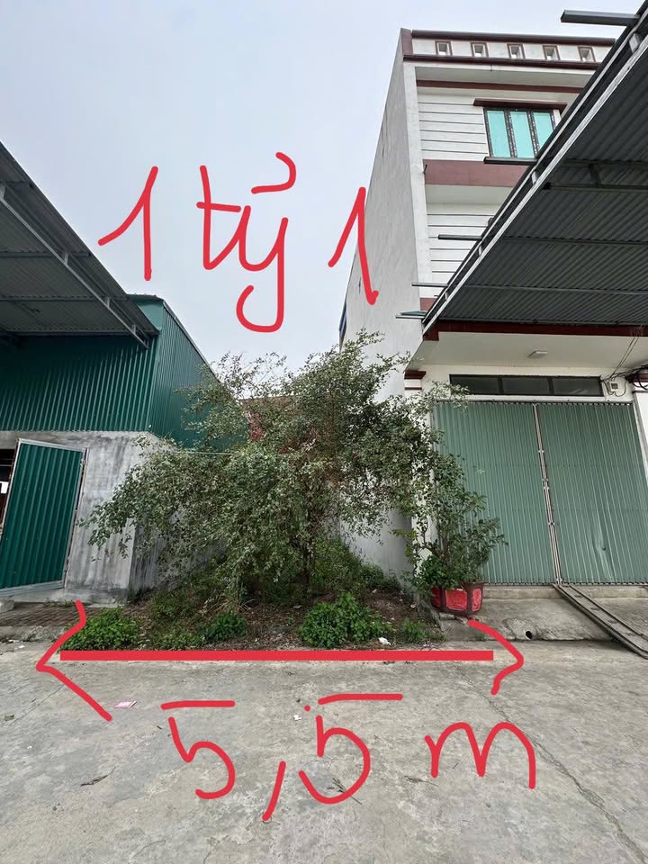 Đất nền Lạng Giang 100m² - Sổ đỏ chính chủ - Tiềm năng sinh lời cao