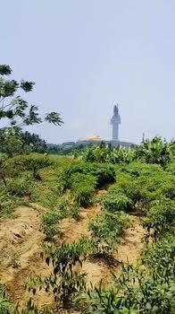 Đất Vườn Tịnh Khê 800m² Sát Biển - Giá Đầu Tư 9 Tỷ/4 Lô