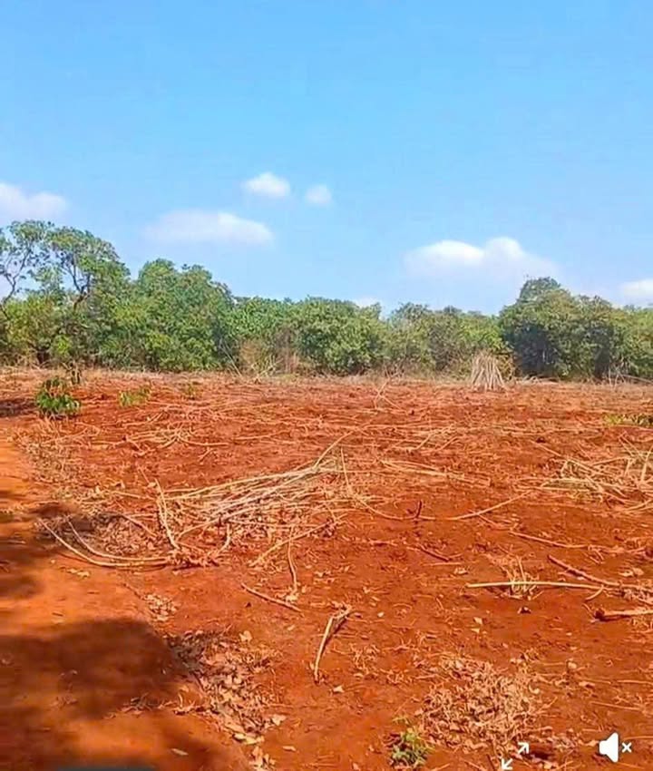 Bán Gấp Đất Farm Xuyên Mộc 5300m² - Sổ Đỏ Riêng, Giá Đầu Tư 2.1 Tỷ