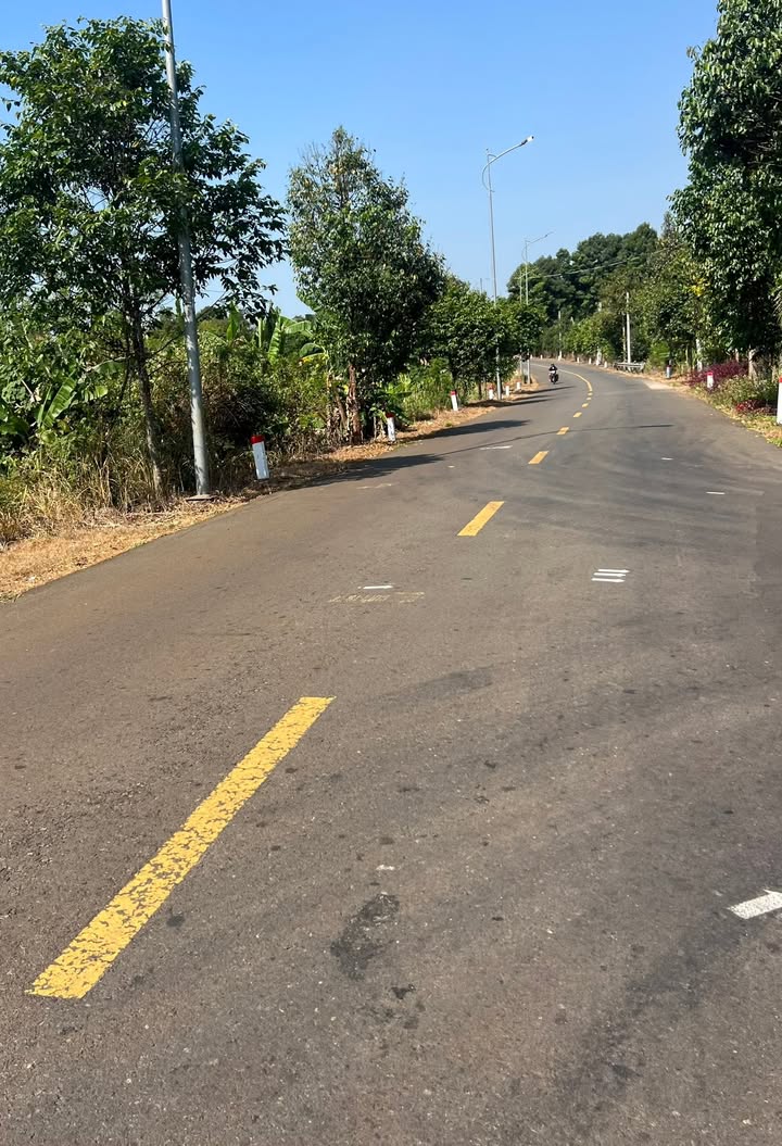 Đất nền Kim Long, Châu Đức 1500m² - Tiềm năng tăng giá vượt trội!