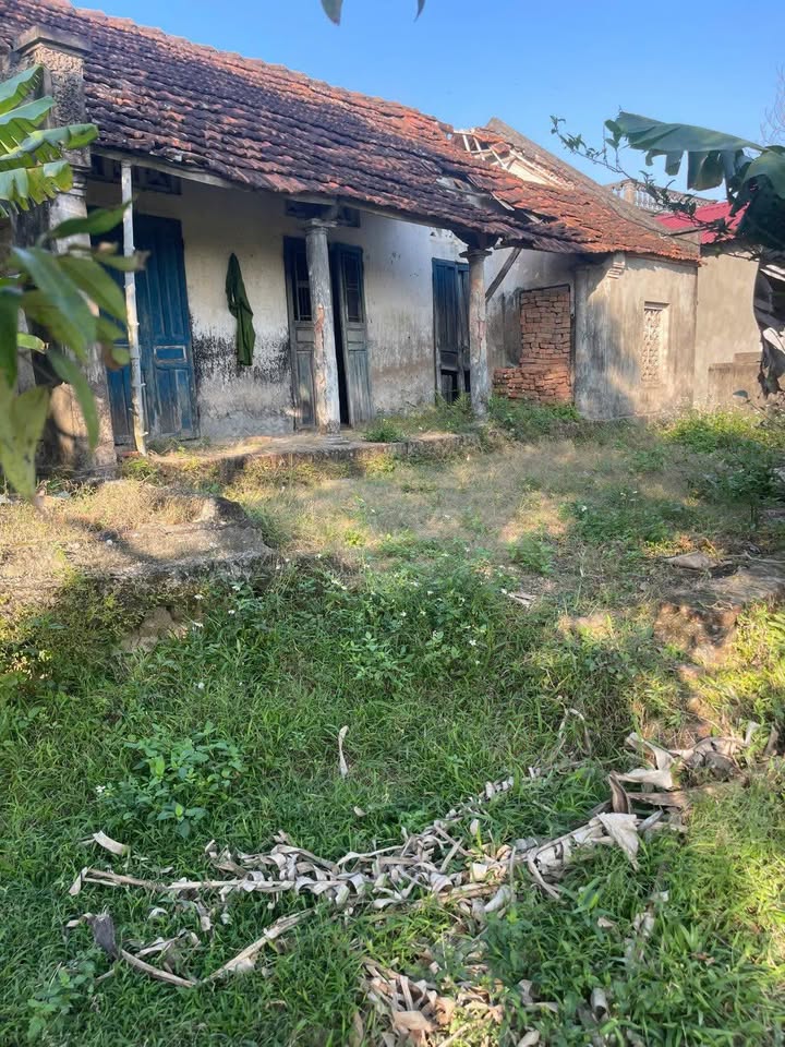 Đất nền Thị trấn Bình Minh 605m² - Tiềm năng tăng giá vượt trội!