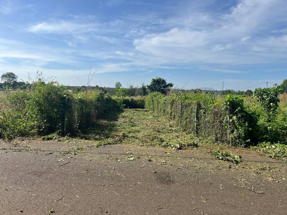 Bán gấp đất Xà Bang 135m² thổ cư, đường nhựa 8m - Giá 550 triệu