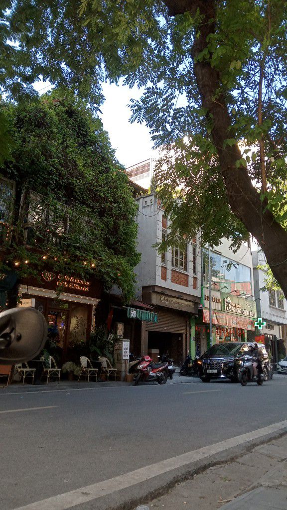 Nhà Mặt Phố Triệu Việt Vương 86m², Lô Góc Kinh Doanh Đắc Địa