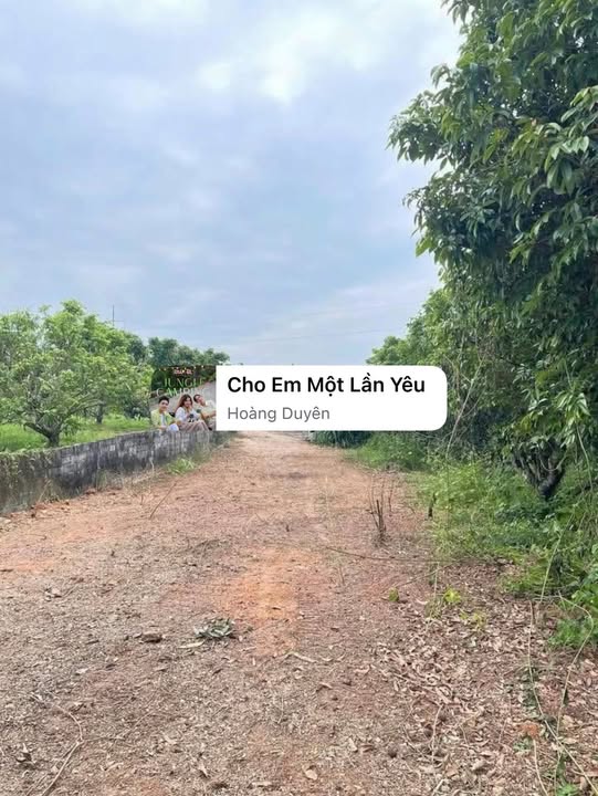 Đất Vườn Bắc Giang 1063m² - Bám Suối, View Đẹp, Giá Tốt Đầu Tư