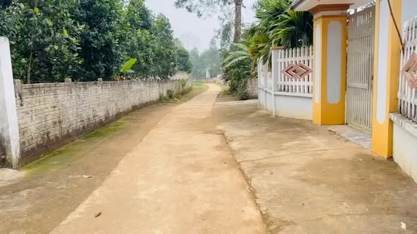 Đất nền Xã Thọ Tân, Triệu Sơn 125m² - Đất thổ cư 100%!