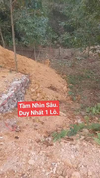 Đất nền Đồng Hỷ 422m² - Sổ đỏ chính chủ, đường ô tô 8m!