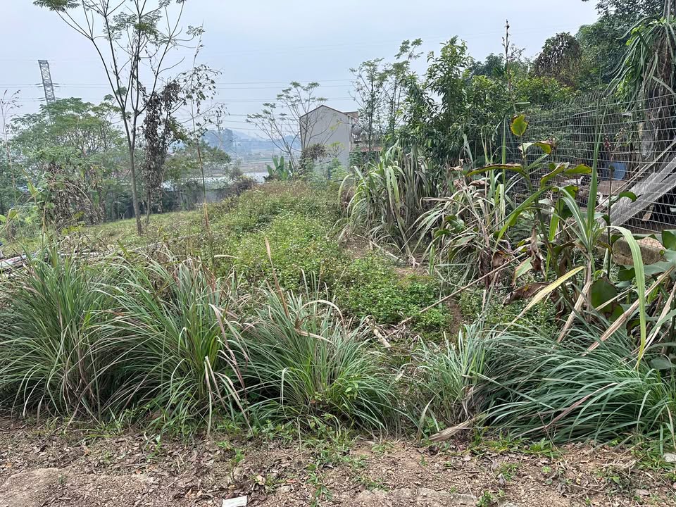 Đất nền Hồng Tiến Phổ Yên 300m² - Tiềm năng tăng giá, sổ đỏ trao tay!