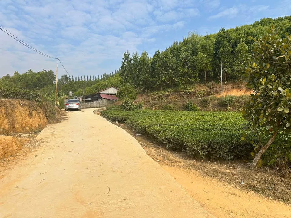 Đất Nền Đồng Hỷ Thái Nguyên 500m² - Sổ Đỏ Chính Chủ Giá Tốt!