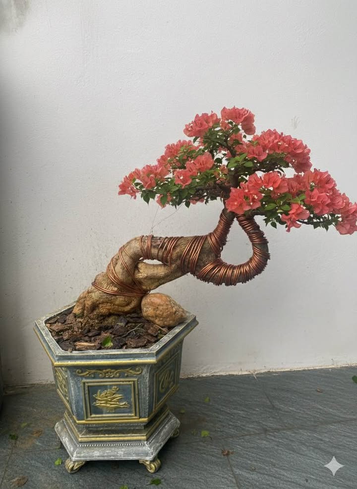 Bán Đất 2 Mặt Tiền 77m² Đường Bắc Nam, TP Thái Nguyên - Kinh Doanh Đắc Lợi