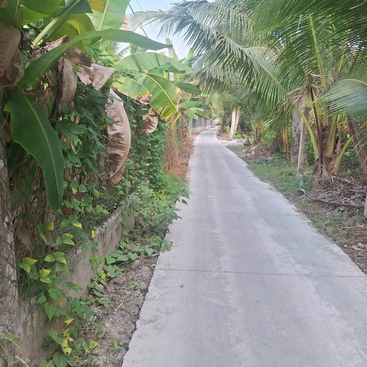 Đất nền Nhị Bình Châu Thành 420m² giá 750 triệu - Sổ đỏ chính chủ