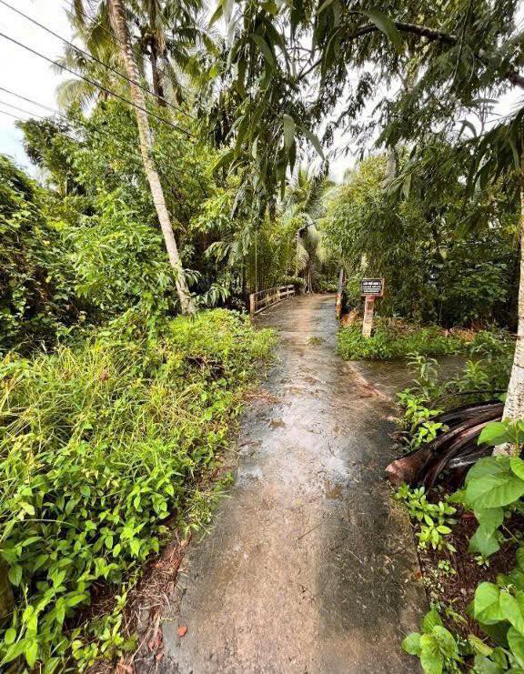 Đất nền 1093m² Đa Phước Hội, Bến Tre - Sổ đỏ sẵn sàng, giá đầu tư 500 triệu