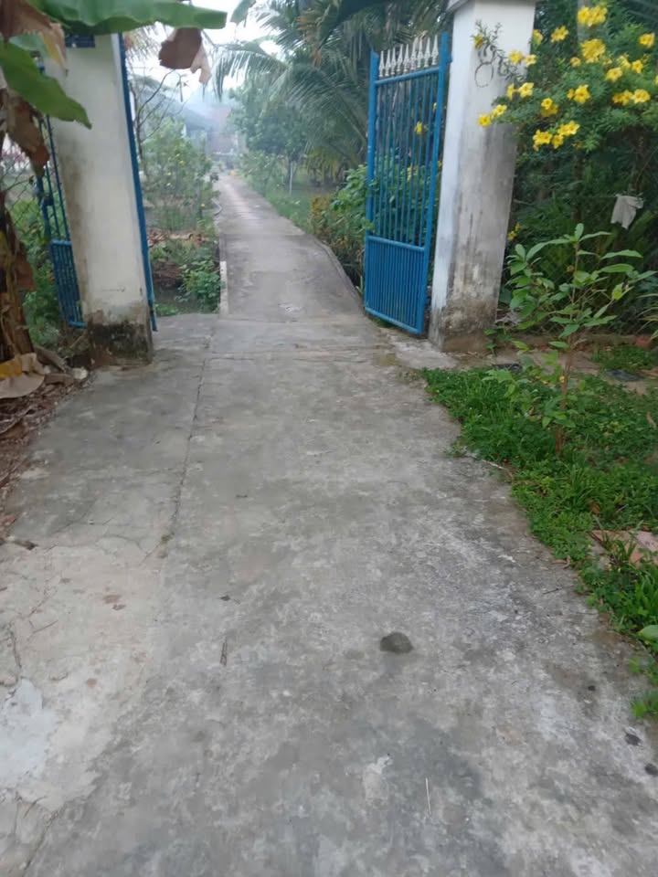 Đất nền Xã Phú Nhuận Bến Tre 4787m² giá 8.138 tỷ - Tiềm năng tăng giá!