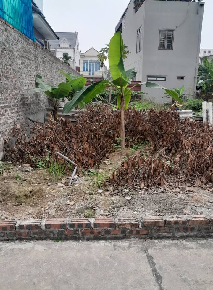 Đất nền Lạc Nông Sóc Sơn 93.6m² - Sổ đỏ chính chủ, tiềm năng sinh lời!