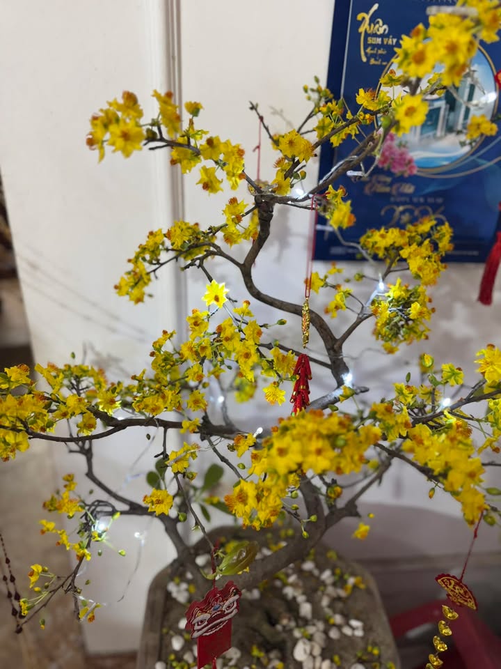 Đất nền Hiệp Hòa Bắc Giang 200m² chỉ 800 triệu - Sổ đỏ chính chủ