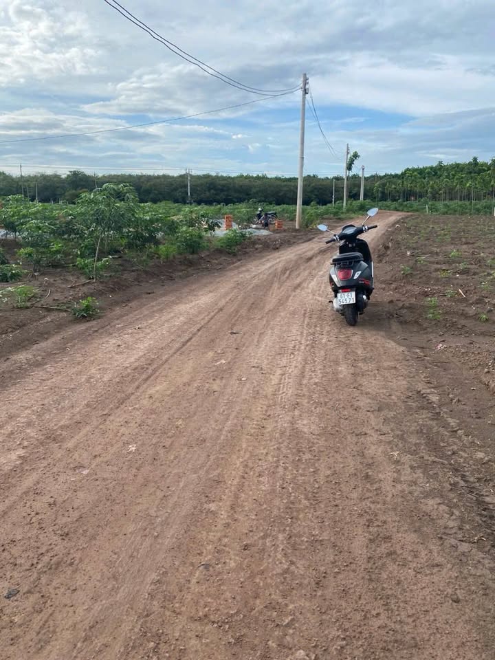 Bán Đất 1080m² Mặt Tiền Đường Đất Đỏ, Chơn Thành - Giá 3 Tỷ