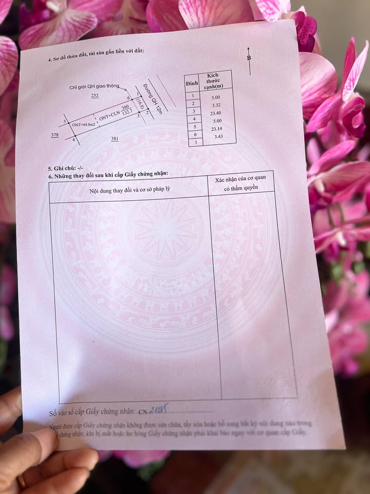 Đất Nền Tân An 160m² - Mặt Tiền Kinh Doanh - Sổ Hồng Sẵn Sàng