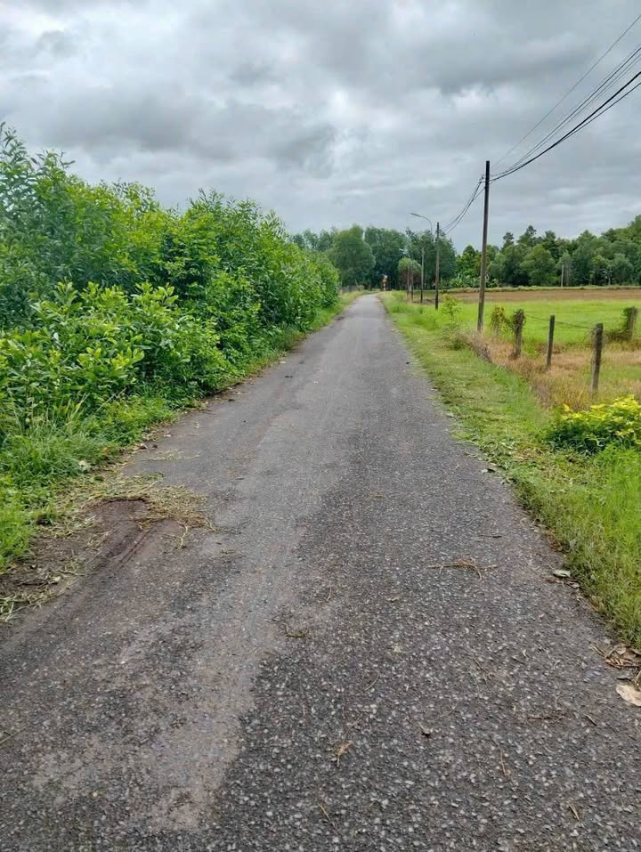 Đất nền Củ Chi 174m² 1.55 tỷ - Sổ đỏ chính chủ, full thổ cư!